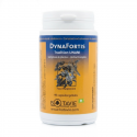 DYNAFORTIS - les 4 Humeurs de la médecine Unani - Botavie