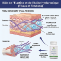 COLLAGÈNE VÉGÉTARIEN - Régénère Souplesse tissus 60gél - Nature forme