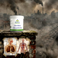 ZÉOLITHE CLINOPTILOLITE - Détox, piège à toxines - 250 g - Nature forme