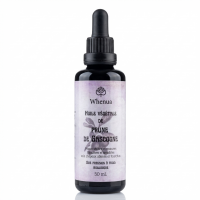 HUILE DE PRUNE DE GASCOGNE Bio Pure & Vierge 50ml - WHENUA