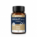 SHILAJIT 800MG B6 - Énergie & Vitalité profonde - LT Labo