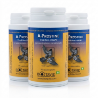 A-PROSTINE - Équilibre Urinaire et Confort Masculin - 90 Gélules BOTAVIE