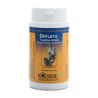 DEFLATIL - Confort Digestif et Légèreté - 90 gél. - BOTAVIE