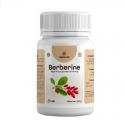 BERBÉRINE 380 mg - 60 gel Glycémie, Équilibre Intestinal - Néo-Nat