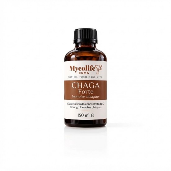 FORTE CHAGA 150 ml - Antioxydant - Mycolife