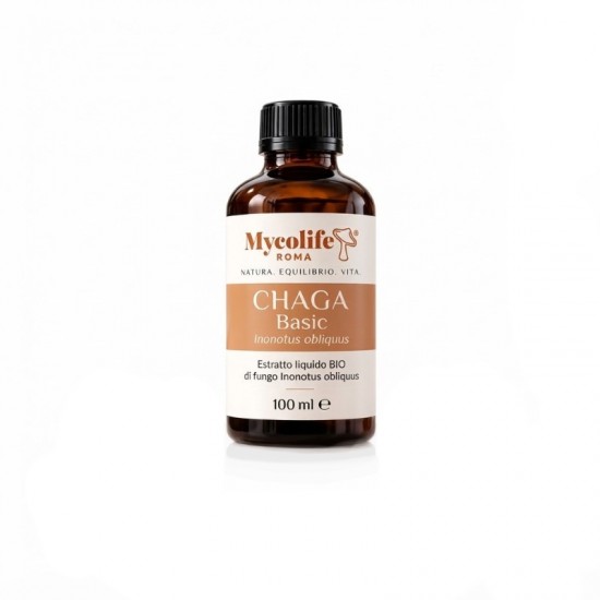 BASIC CHAGA 100 ml - Antioxydant - Mycolife