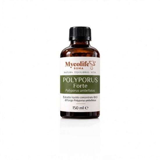 FORTE POLYPORUS UMBELLATUS 150 ml - Équilibre - Mycolife