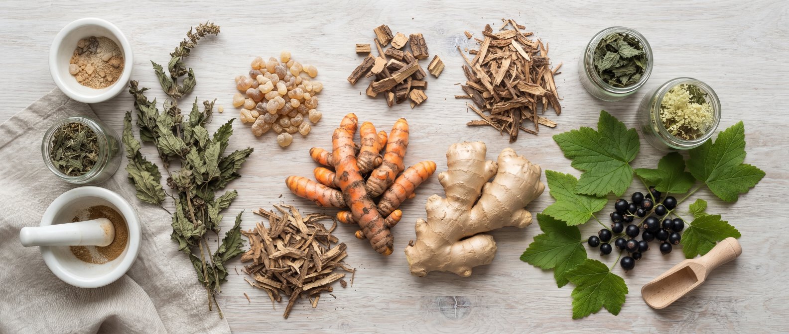 Assortiment de plantes du confort articulaire curcuma gingembre boswellia harpagophytum