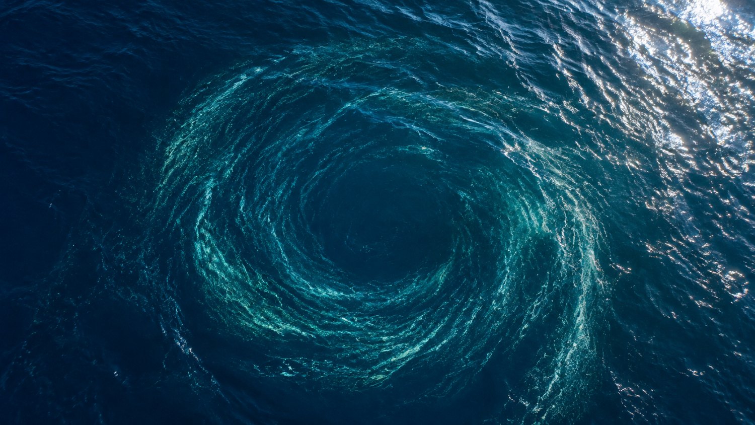 Vortex planctonique en pleine mer