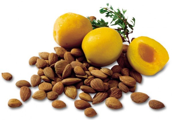 Amandes am&egrave;res par Michel Dogna