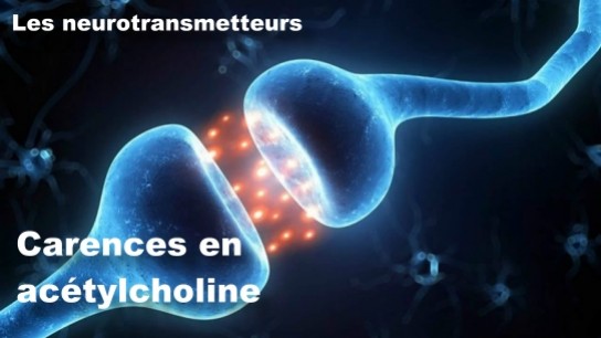 Pr&eacute;cieuse Ac&eacute;tylcholine