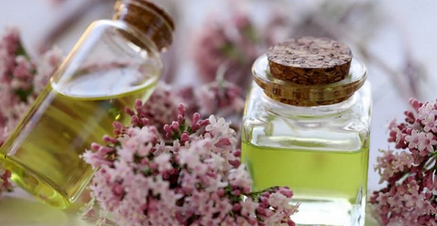 La val&eacute;riane officinale
