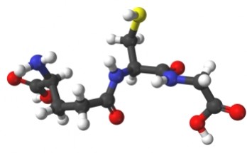 Le glutathion, l'antioxydant efficace.