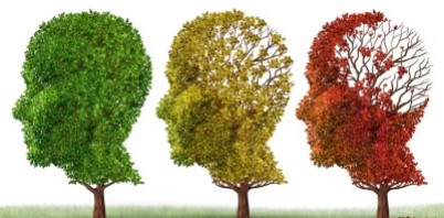 EPA DHA et notre cerveau