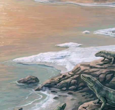 Huile de Magn&eacute;sium Transcutan&eacute;e : Le Secret de la Mer de Zechstein