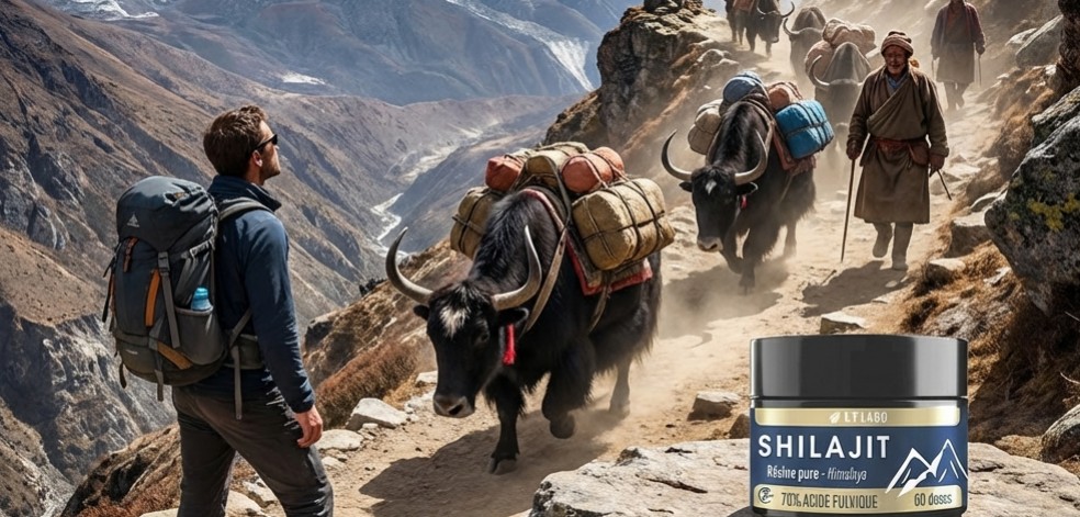 Le Shilajit et l'Acide Fulvique : Le Tr&eacute;sor de l'Himalaya pour la Vitalit&eacute;