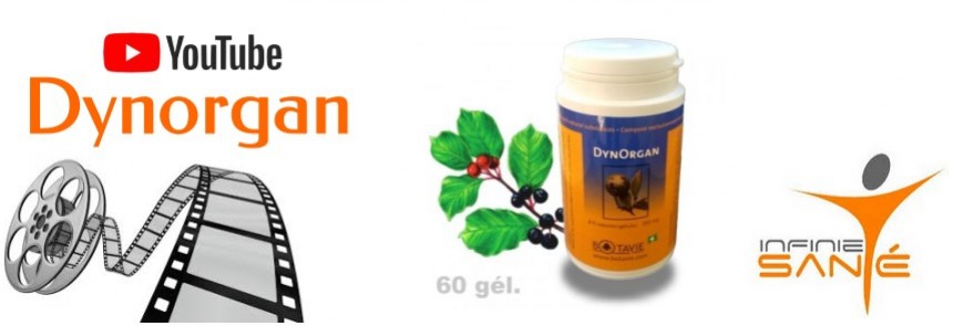 Dynorgan