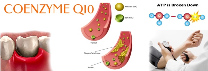 CoQ10 - vertus