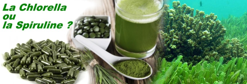 CHLORELLA ou SPIRULINE