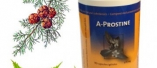A prostine d&eacute;tails