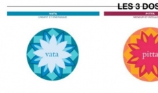 Les 3 Doshas, mahabhutas, Srotas et dhatus 