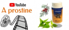 A Prostine vid&eacute;o