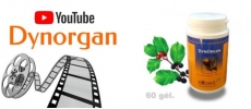 Dynorgan
