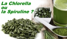 CHLORELLA ou SPIRULINE